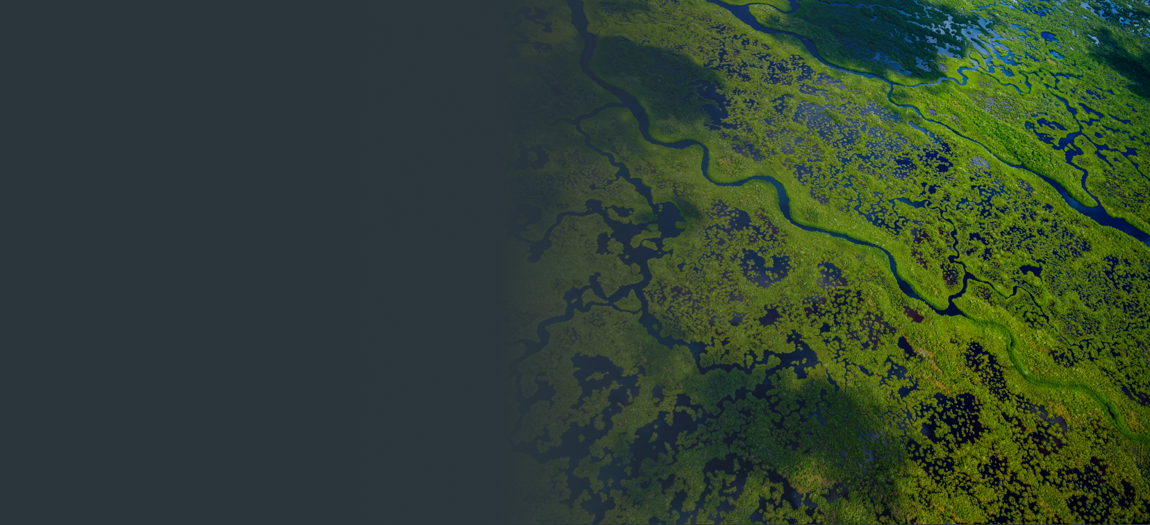 sustainability bg image